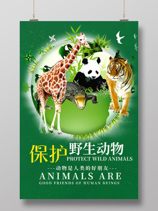 绿色简约保护野生动物公益宣传海报